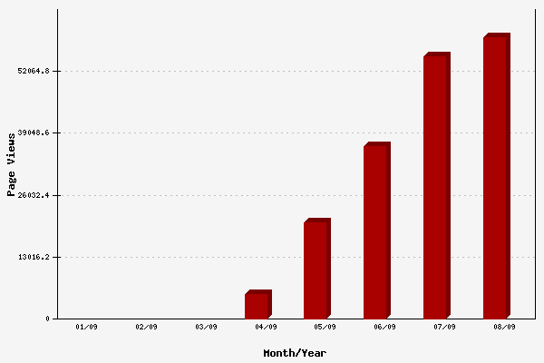 Medical Coding Pro website page views